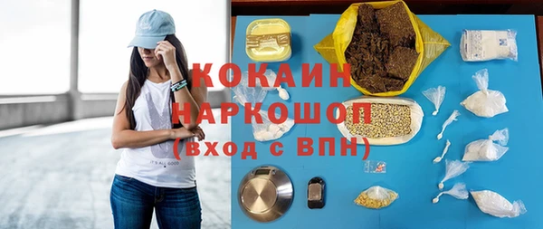 мяу мяу мука Няндома