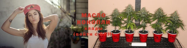 стафф Новодвинск